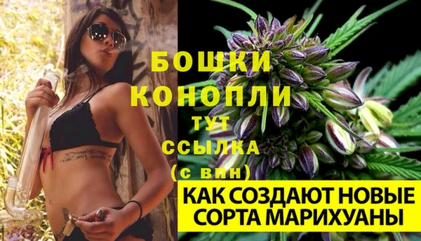 PSILOCYBIN Красноперекопск
