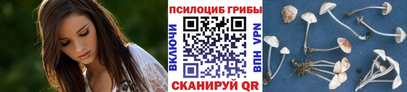 Галлюциногенные грибы прущие грибы  Купить где  Белоусово 